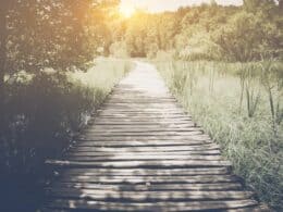 The Path to Engaging a Structured Settlement Consultant