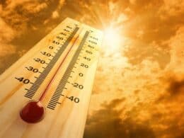 Important Safety Tips for Outdoor Workers In Hot Summer Months