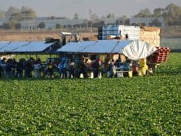 6 Effective Claim Handling Tips For Undocumented Employees