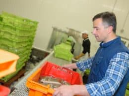 Quality Job Profiles Are Critical to Optimally Manage Workers’ Compensation
