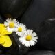 Making the Most of Work Comp Mediation
