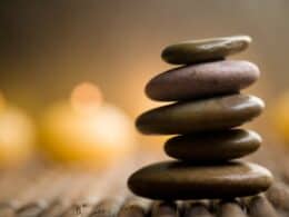 Create an Effective Wellness Program with 6 Milestones