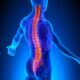 Chiropractic Care