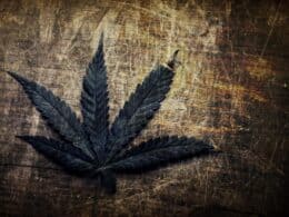 Medical Marijuana