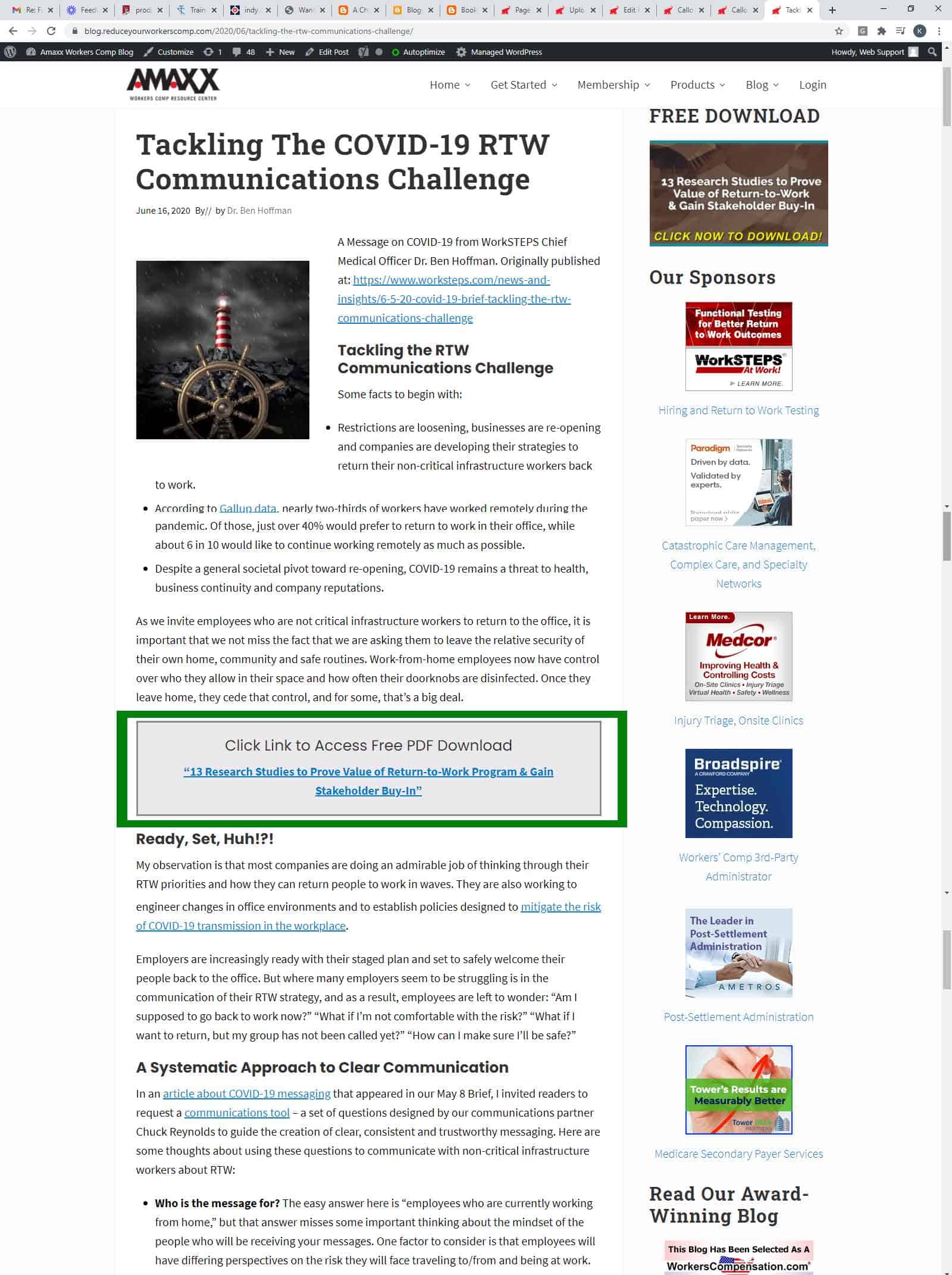 Primary Sidebar Widget